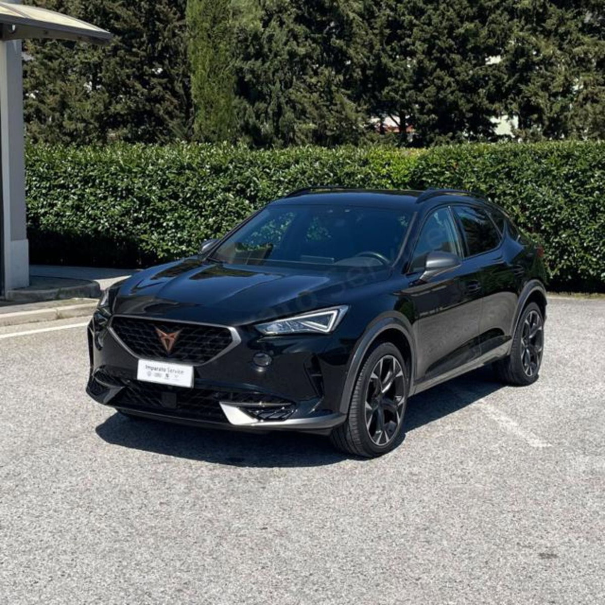 Cupra Formentor Formentor 2.0 tdi 4drive 150cv dsg (3)
