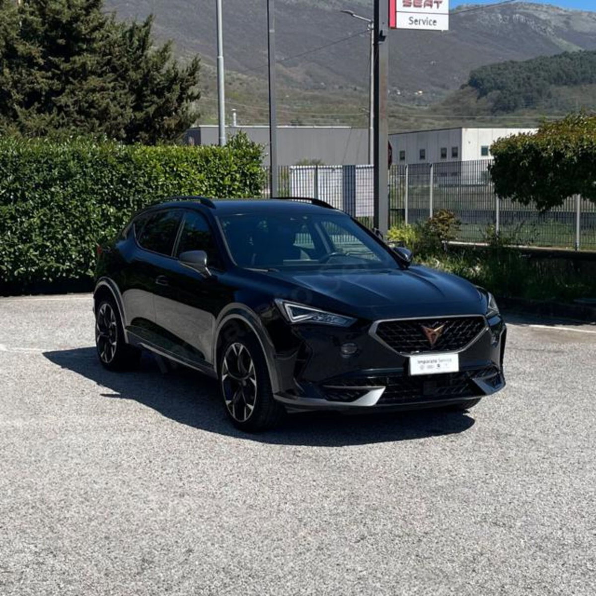 Cupra Formentor Formentor 2.0 tdi 4drive 150cv dsg (4)