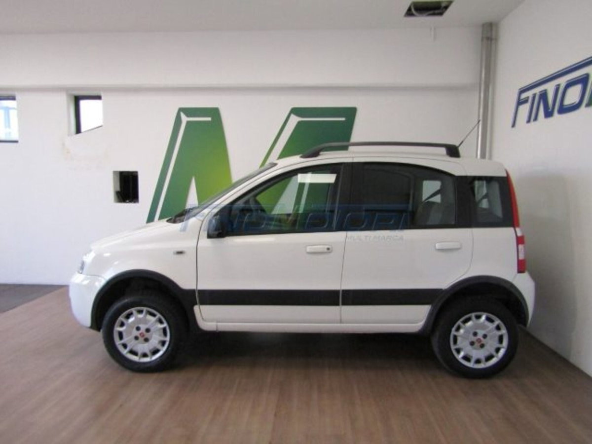 Fiat Panda 1.2 4x4 (5)