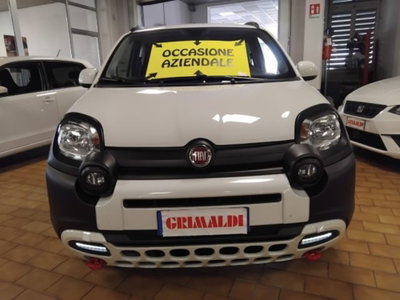 Fiat Panda Cross 1.0 firefly hybrid Cross s&s 70cv 5p.ti (2)