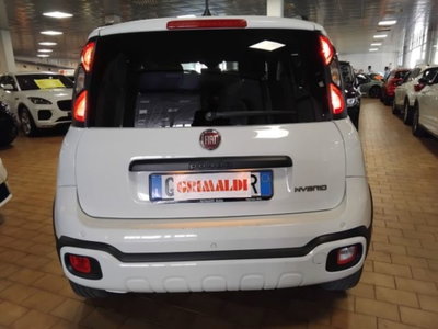 Fiat Panda Cross 1.0 firefly hybrid Cross s&s 70cv 5p.ti (5)