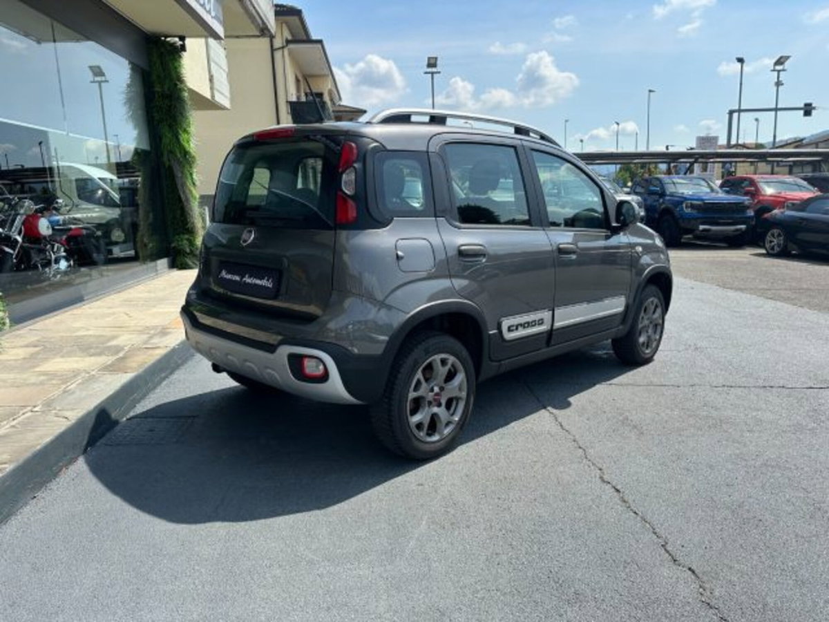 Fiat Panda Cross Cross 0.9 TwinAir Turbo S&S 4x4 (4)