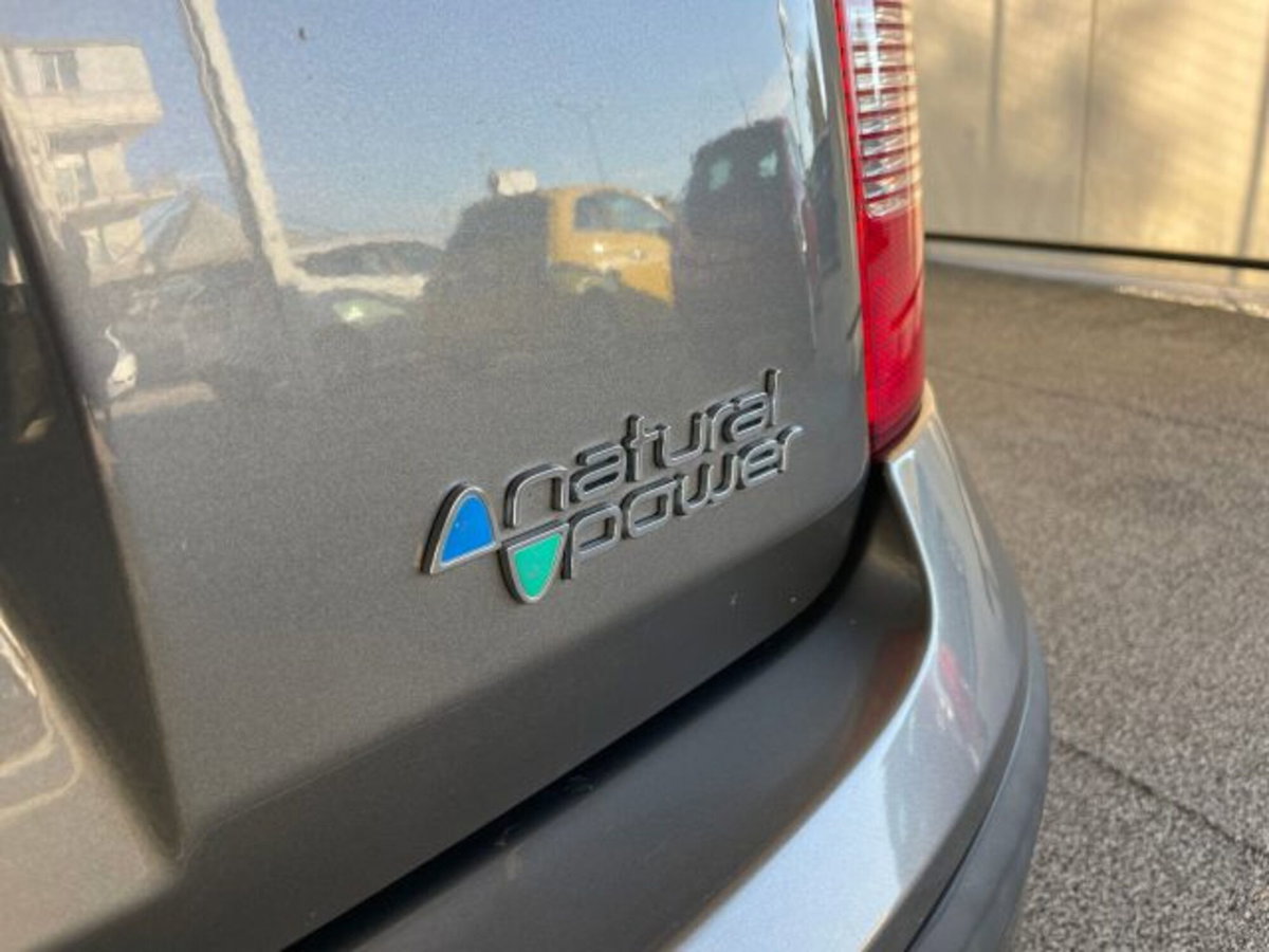 Fiat Panda 1.4 Natural Power (16)