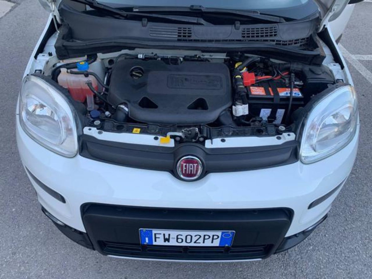 Fiat Panda 0.9 TwinAir Turbo S&S 4x4 Trussardi (14)