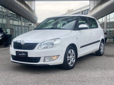 Skoda Fabia 1.6 TDI CR 75CV 5p. Fabia (3)