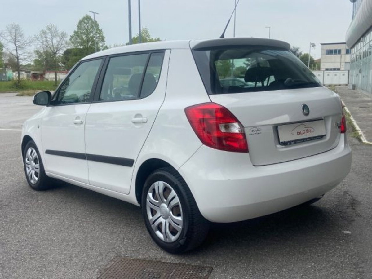 Skoda Fabia 1.6 TDI CR 75CV 5p. Fabia (6)