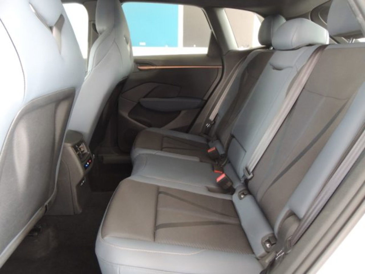 Cupra Terramar 1.5 hybrid 150cv dsg (14)