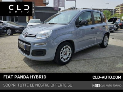 Fiat Panda 1.0 firefly hybrid s&s 70cv 5p.ti usata