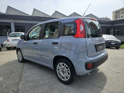 Fiat Panda 1.0 firefly hybrid s&s 70cv 5p.ti (4)