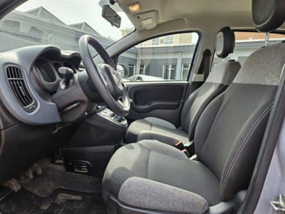 Fiat Panda 1.0 firefly hybrid s&s 70cv 5p.ti (5)