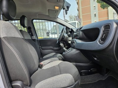 Fiat Panda 1.0 firefly hybrid s&s 70cv 5p.ti (7)