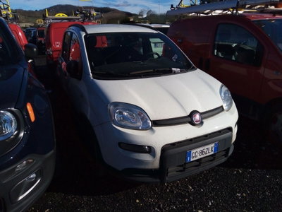 Fiat Panda 1.0 FireFly S&S Hybrid City Life usata