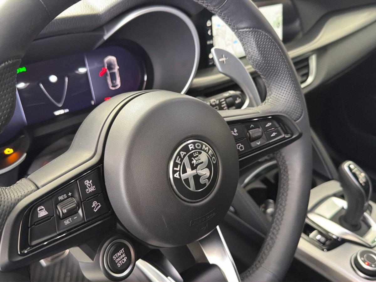 Alfa Romeo Stelvio Stelvio 2.2 Turbodiesel 210 CV AT8 Q4 Veloce (16)