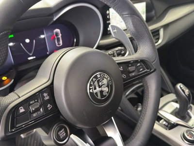 Alfa Romeo Stelvio Stelvio 2.2 Turbodiesel 210 CV AT8 Q4 Veloce (16)