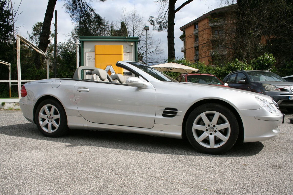 Mercedes-Benz SL 500 cat (10)