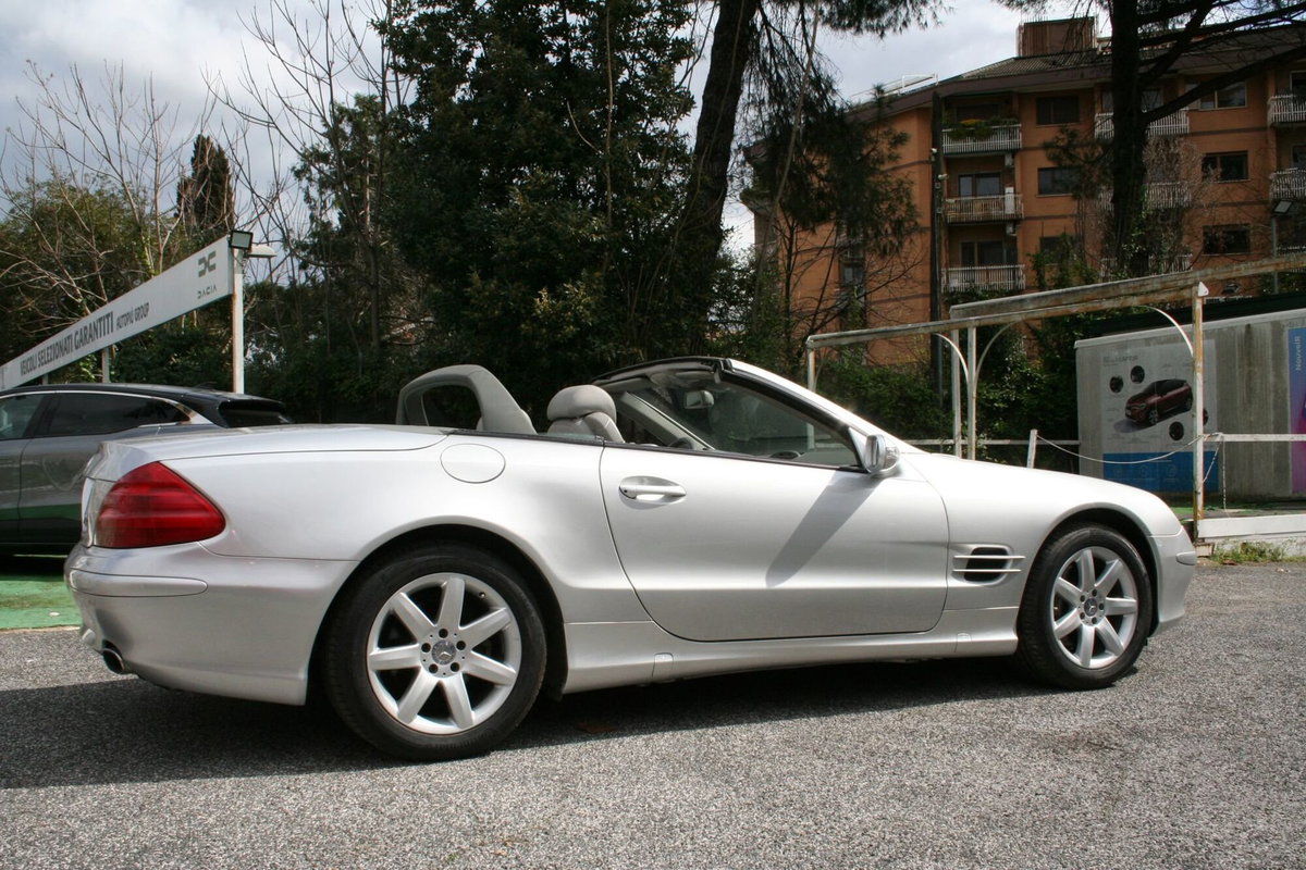 Mercedes-Benz SL 500 cat (11)