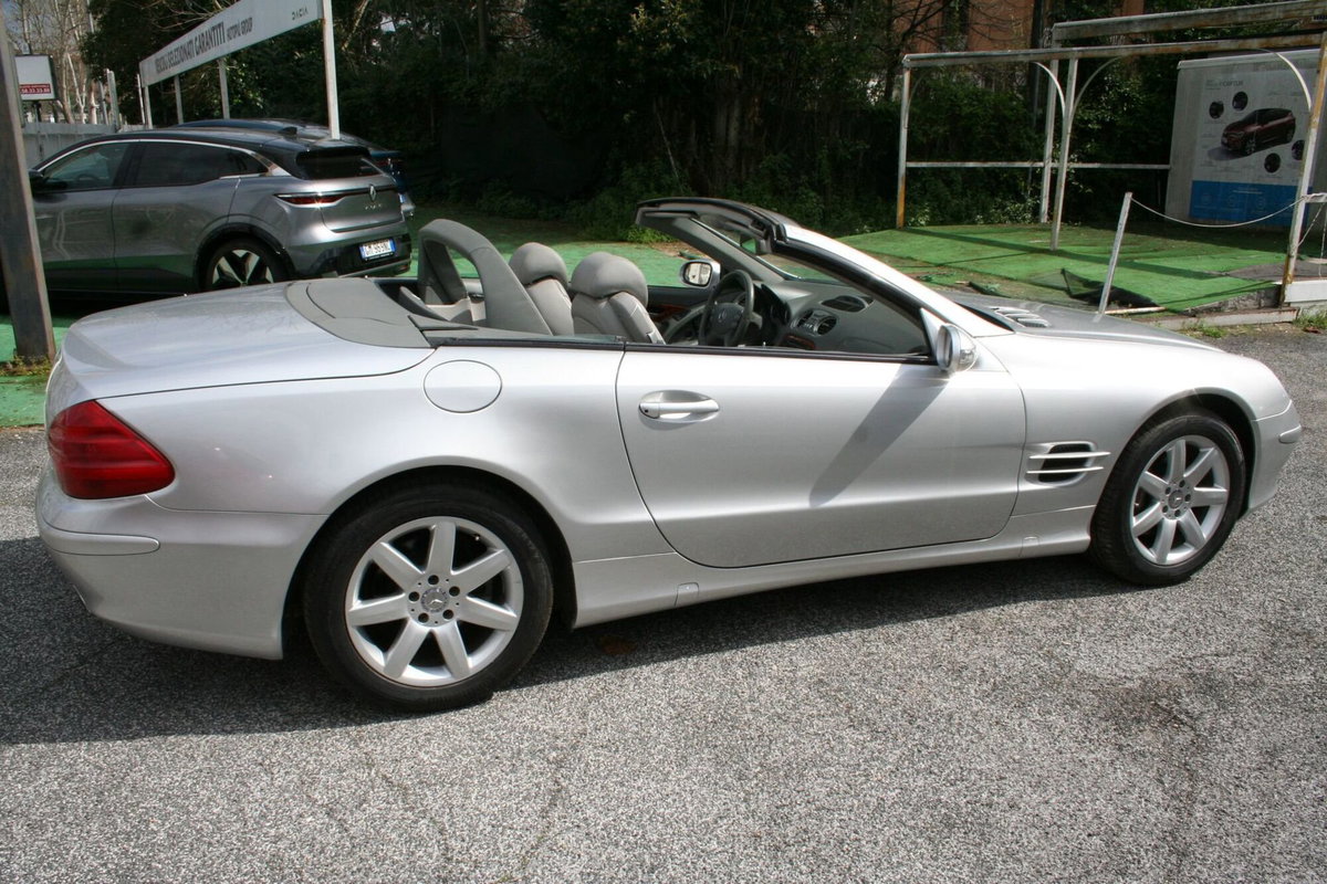 Mercedes-Benz SL 500 cat (12)
