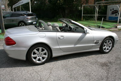 Mercedes-Benz SL 500 cat (12)
