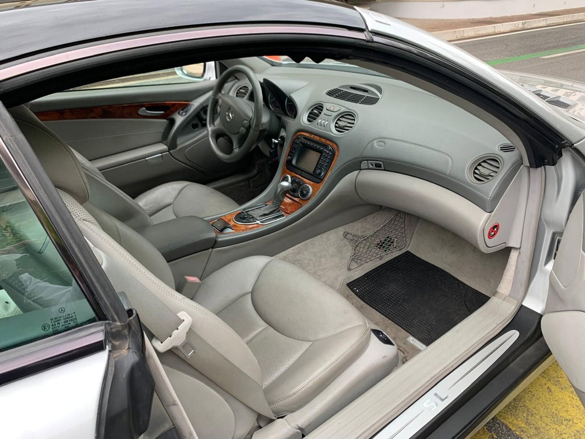 Mercedes-Benz SL 500 cat (13)