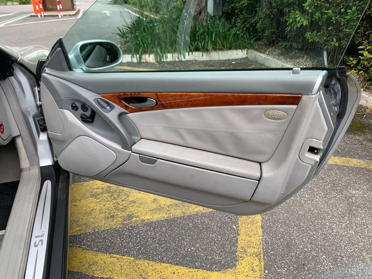 Mercedes-Benz SL 500 cat (14)