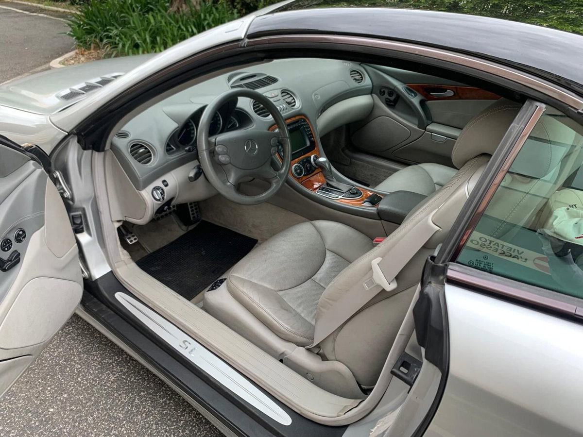Mercedes-Benz SL 500 cat (15)
