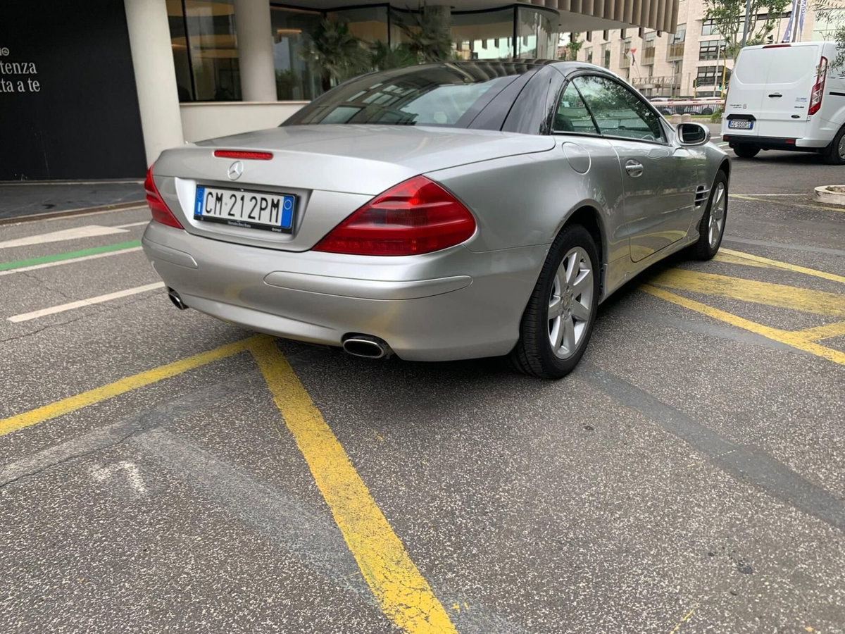 Mercedes-Benz SL 500 cat (16)