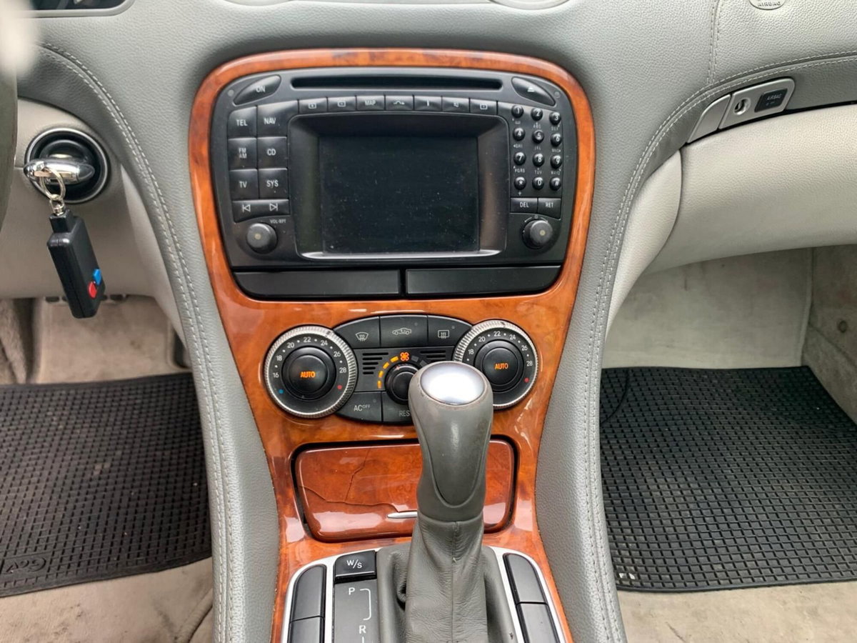 Mercedes-Benz SL 500 cat (18)