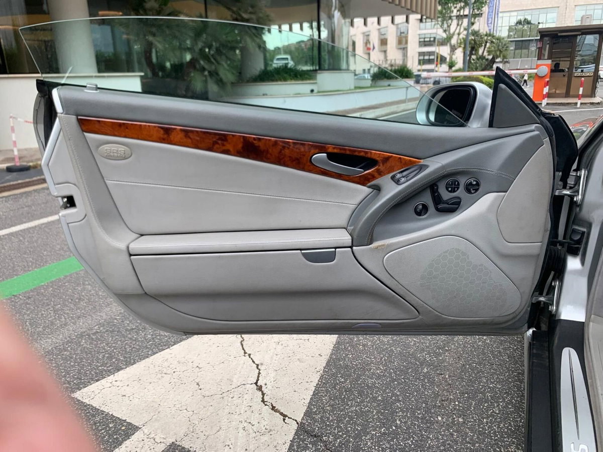 Mercedes-Benz SL 500 cat (19)