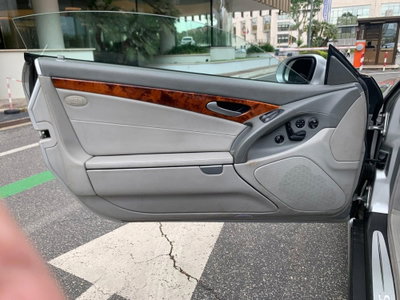 Mercedes-Benz SL 500 cat (19)