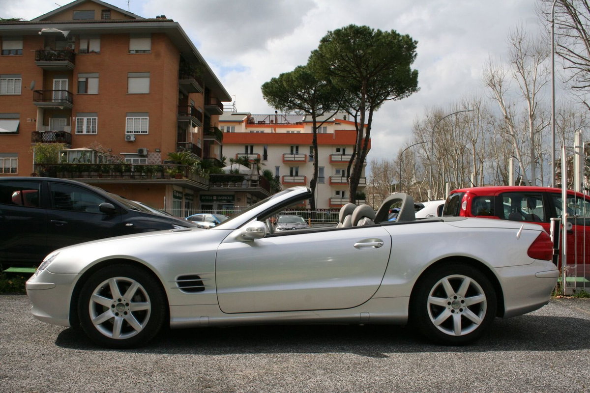 Mercedes-Benz SL 500 cat (2)