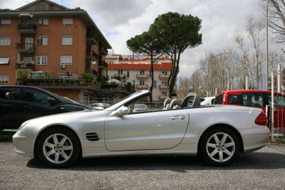 Mercedes-Benz SL 500 cat (2)
