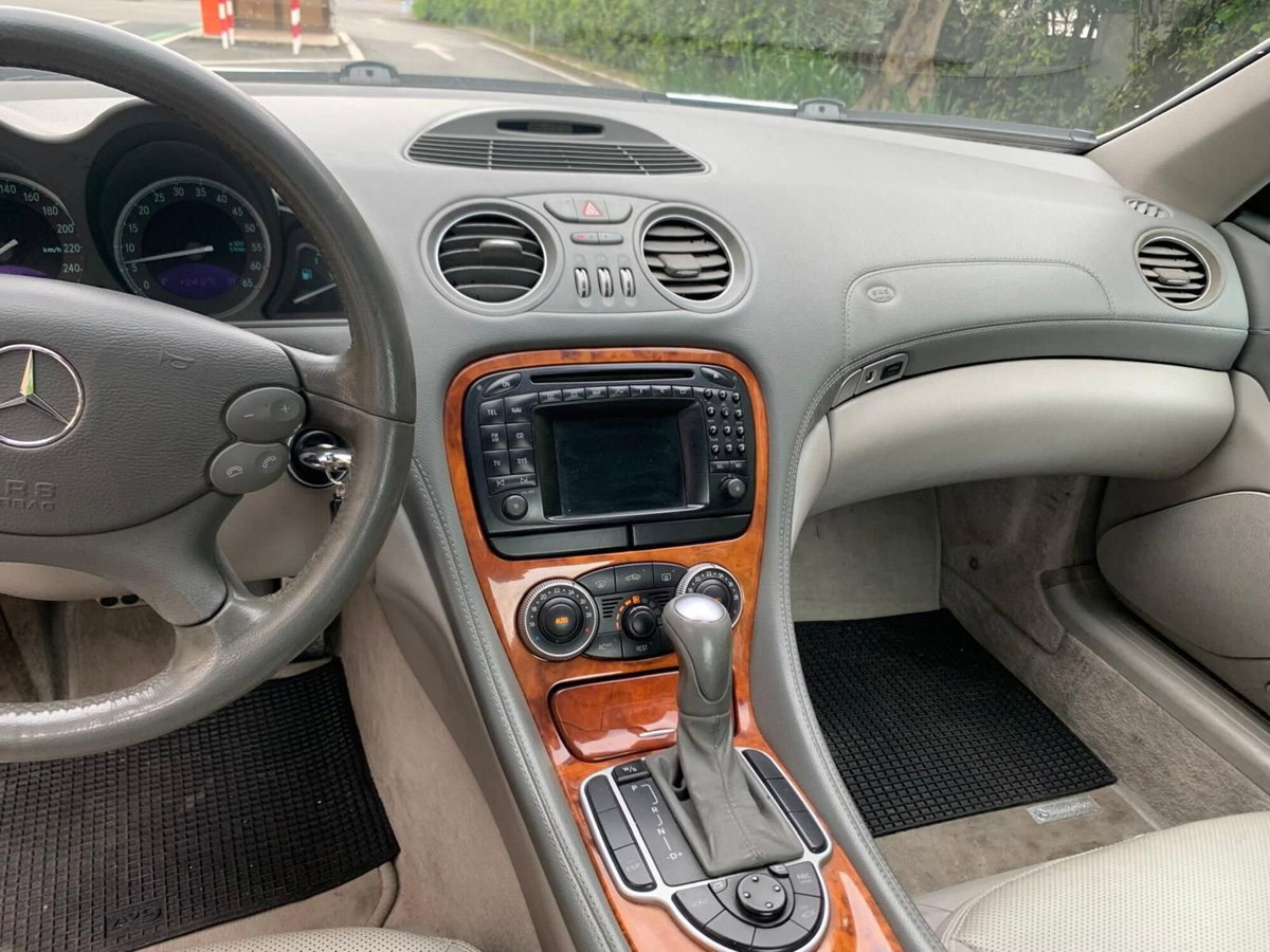 Mercedes-Benz SL 500 cat (20)