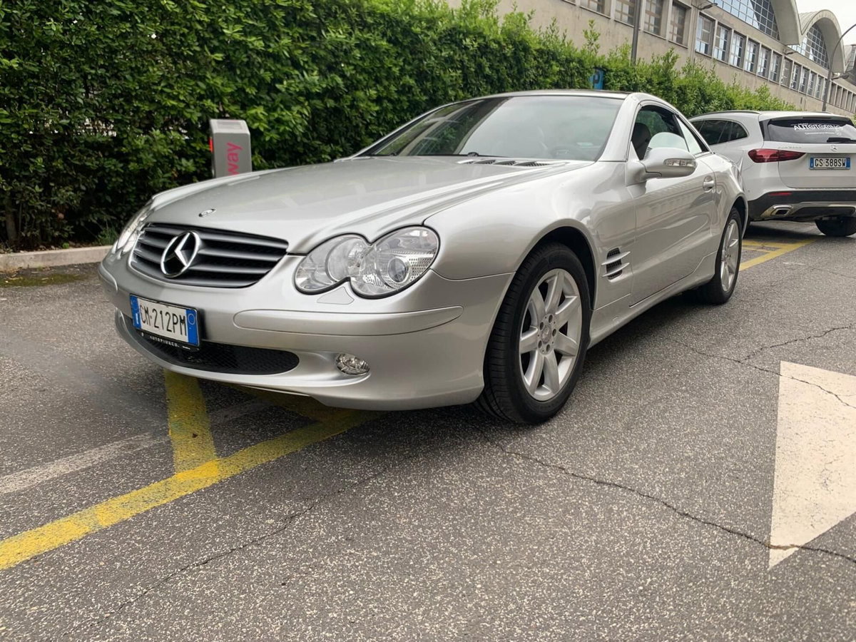 Mercedes-Benz SL 500 cat (3)