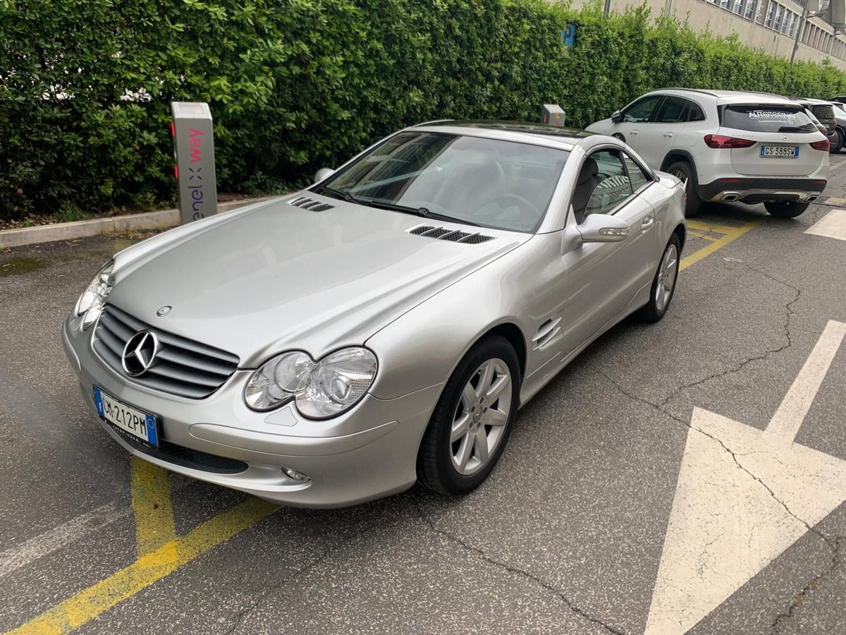 Mercedes-Benz SL 500 cat (4)