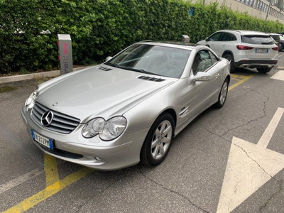 Mercedes-Benz SL 500 cat (4)