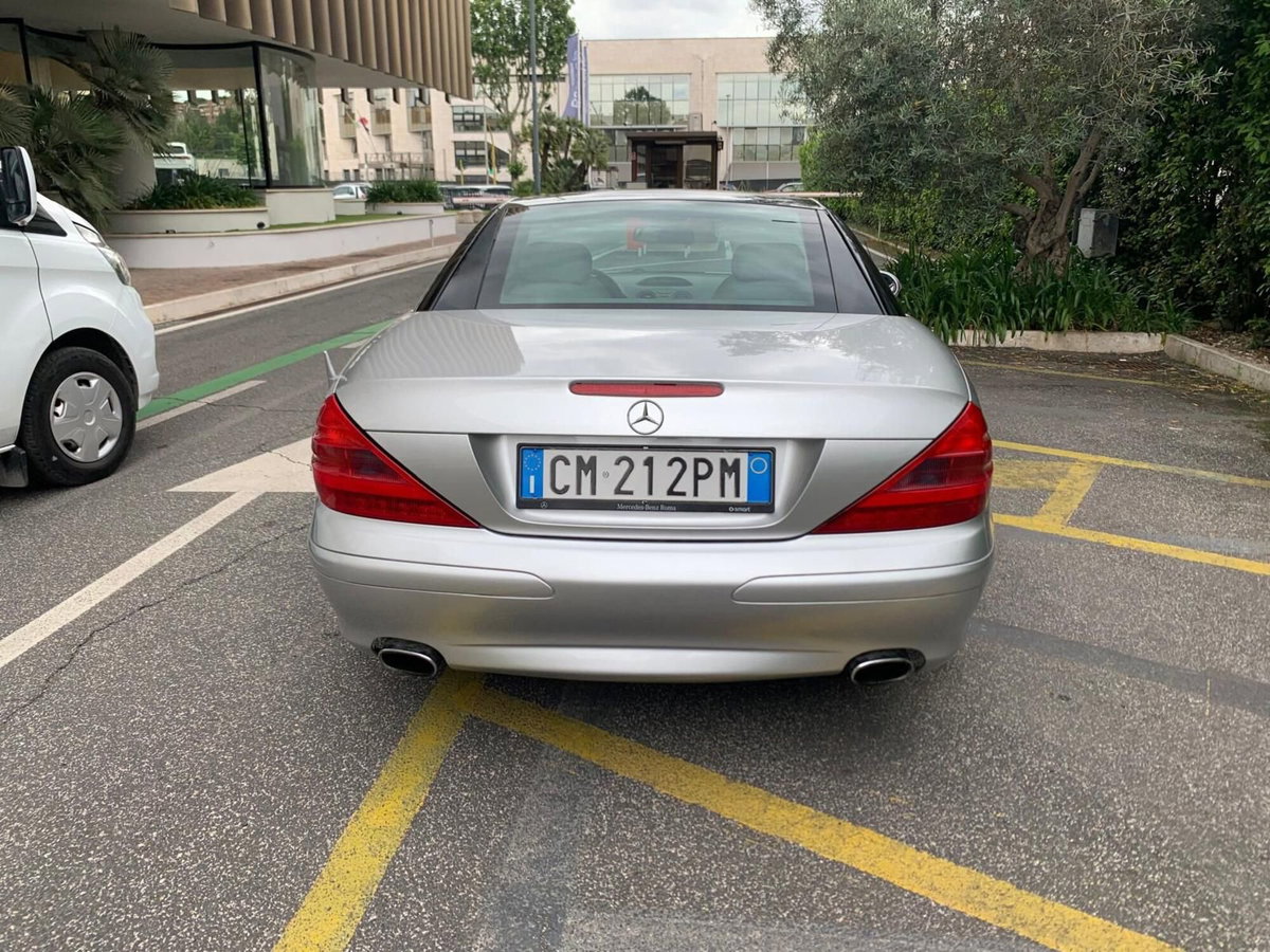 Mercedes-Benz SL 500 cat (5)