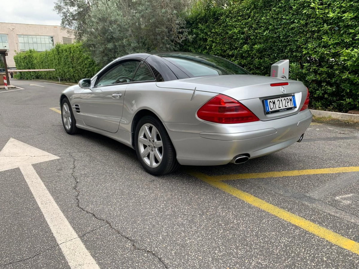 Mercedes-Benz SL 500 cat (6)