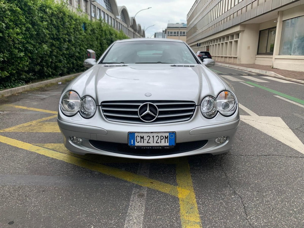 Mercedes-Benz SL 500 cat (7)