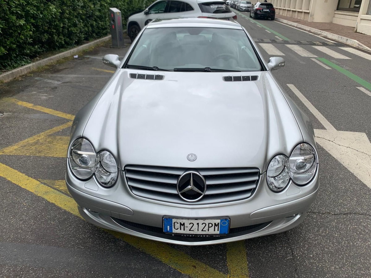 Mercedes-Benz SL 500 cat (8)