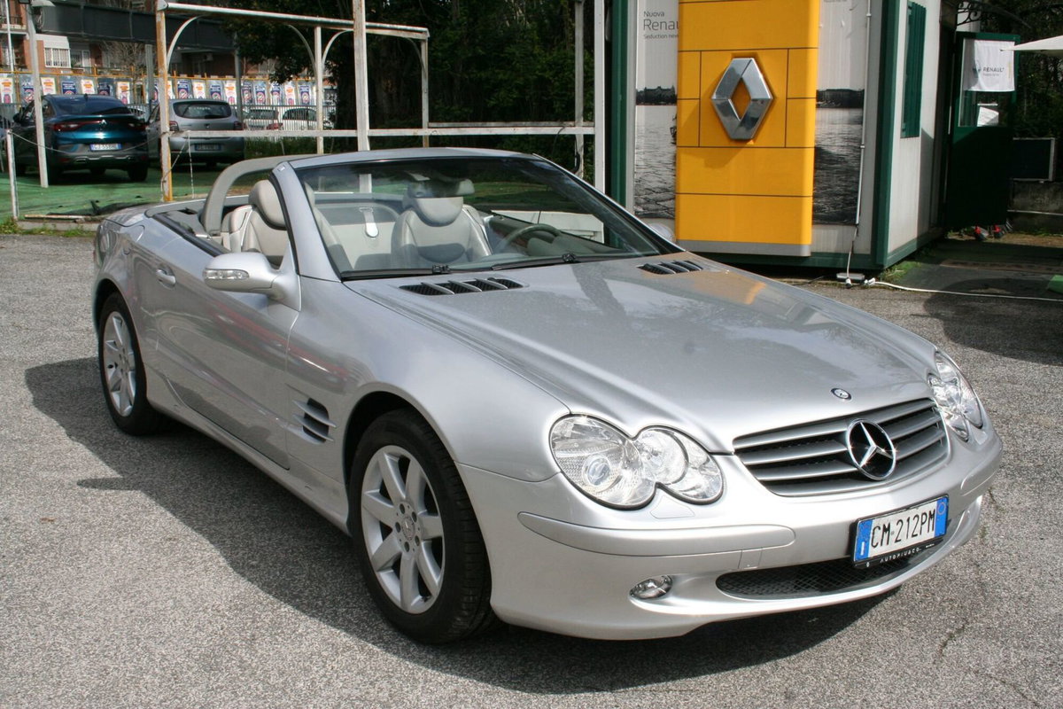 Mercedes-Benz SL 500 cat (9)