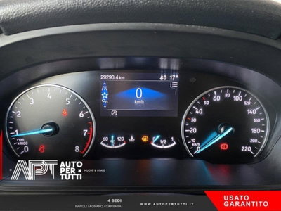 Ford EcoSport 1.0 EcoBoost 125 CV Start&Stop ST-Line (7)
