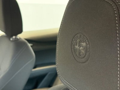 Alfa Romeo Stelvio Stelvio 2.2 Turbodiesel 190 CV AT8 Q4 Super Business (11)