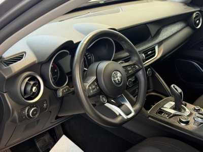 Alfa Romeo Stelvio Stelvio 2.2 Turbodiesel 190 CV AT8 Q4 Super Business (9)