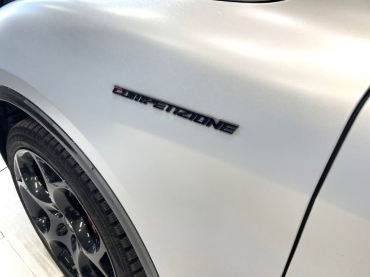 Alfa Romeo Stelvio Stelvio 2.2 Turbodiesel 210 CV AT8 Q4 Veloce (14)