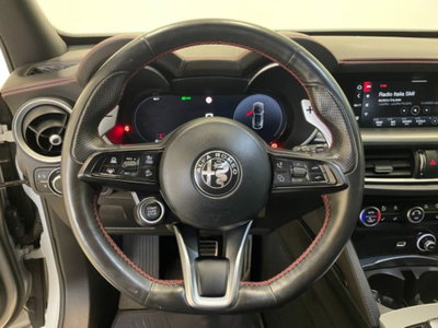 Alfa Romeo Stelvio Stelvio 2.2 Turbodiesel 210 CV AT8 Q4 Veloce (17)