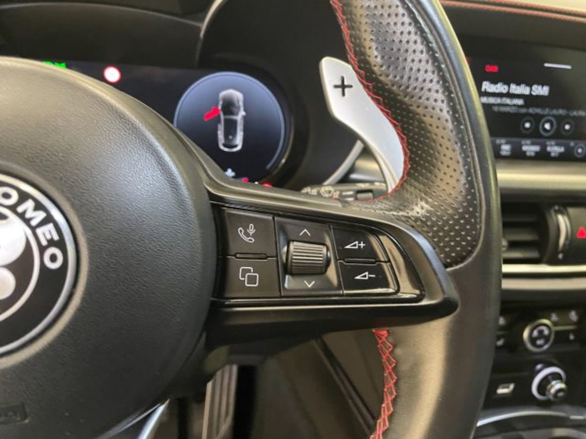 Alfa Romeo Stelvio Stelvio 2.2 Turbodiesel 210 CV AT8 Q4 Veloce (19)