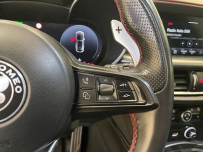 Alfa Romeo Stelvio Stelvio 2.2 Turbodiesel 210 CV AT8 Q4 Veloce (19)