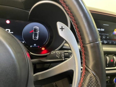 Alfa Romeo Stelvio Stelvio 2.2 Turbodiesel 210 CV AT8 Q4 Veloce (20)