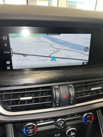 Alfa Romeo Stelvio Stelvio 2.2 Turbodiesel 160 CV AT8 RWD Sprint (16)