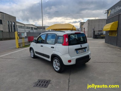 Fiat Panda 1.0 firefly hybrid s&s 70cv 5p.ti (17)